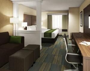Luxury Hotel Furniture USA for Comfort Inn