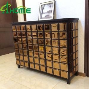 Dressing Room Decorative Mirror Shoe Cabinet Furniture