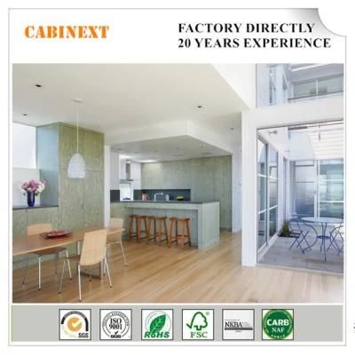 CE Approved Plywood Cabinext Kd (Flat-Packed) Customized Fuzhou China Cabinets Kitchen Cabinetry