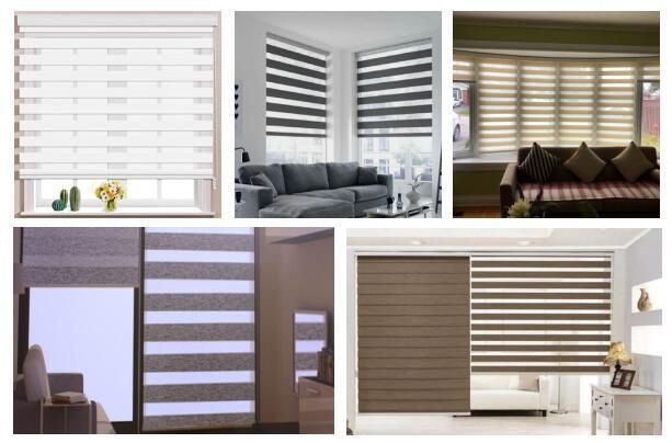 Hot Sale Polyester Window Manual Control Zebra Blind