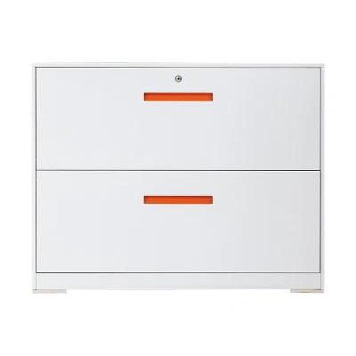 2 Drawer Steel Filing Cabinet Metal Filing Storage Vertical Cabinets for Organization Hanging Letter