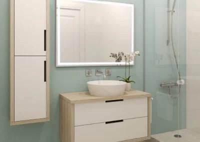 Lighted Bathroom Vanity Mirror with Defogger &amp; Dimmer, Horizontal &amp; Vertical