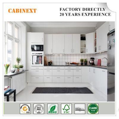 Modern Style Kitchen Furniture MDF Lacquer Kitchen Cabinet with Favorable Price