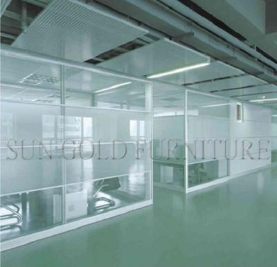Popular Aluminum Glass Office Divider Not Reach Ceiling Partition (SZ-WS560)