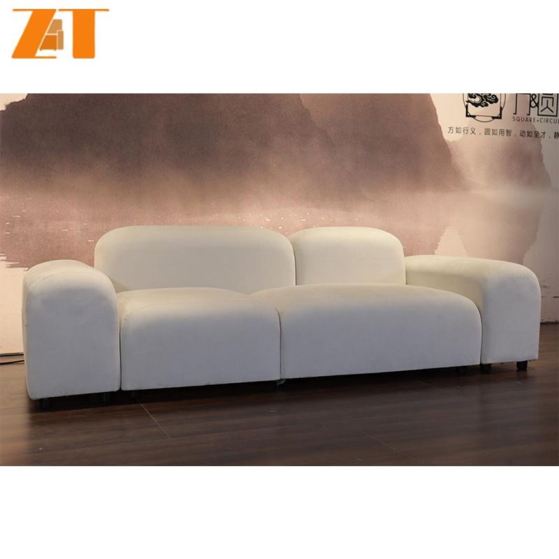 Factory Wholesale Customization Living Room Velvet 2 Seater Sofa in Turkey