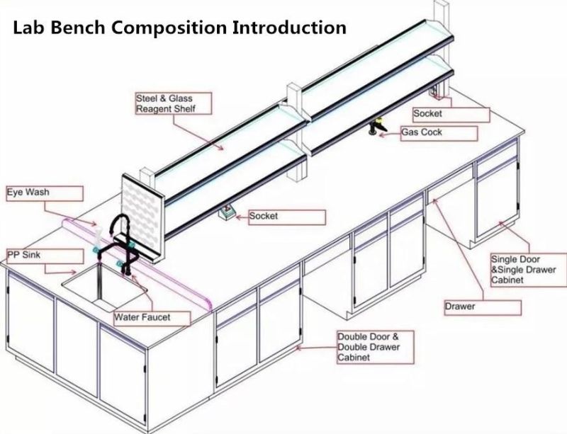 Hot Selling Physical Steel Lab Furniture Cover in Dispenser, Cheap Factory Prices Chemistry Steel Wall Bench for Lab/