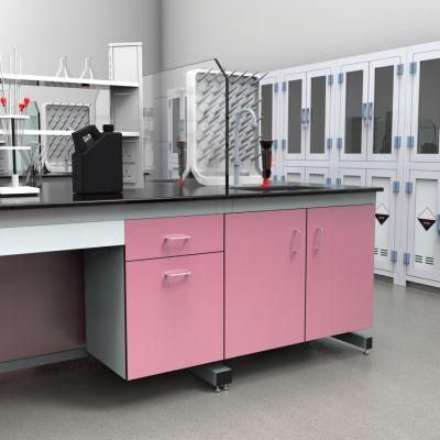 High Quality Hot Sell Pharmaceutical Factory Steel Lab Furniture with Linners, High Quality Hot Sell School Steel Lab Bench/