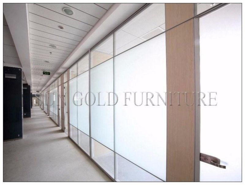 Office Room Divider Office Wall Partition Glass Partition for Office (SZ-WS567)