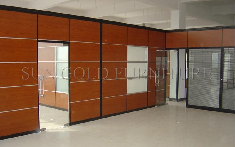 Modern Office Exterior Aluminum Wall Panel Partition Interior Door (SZ-WST781)