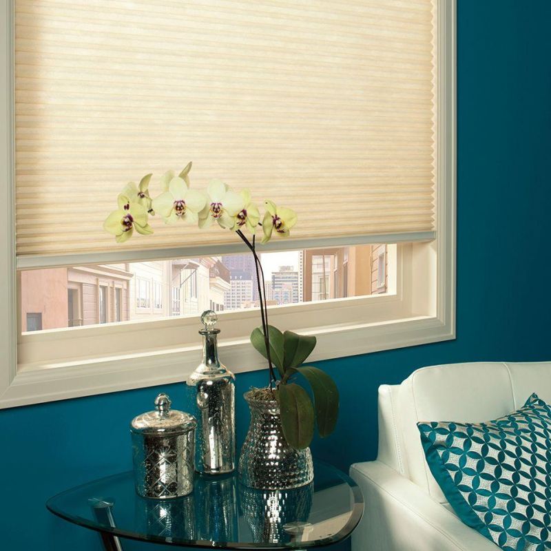 Cordless Blackout Cellular Shades Fabric Honeycomb Blinds for Windows Doors and Bedroom