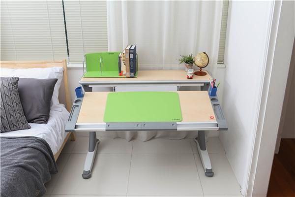 Ergonomic Design Luxury Office Study Computer Table