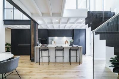 Full House Cabinet Dining Room Custom Design Matt Black Frameless Design Fitted Kitchen Cabinets