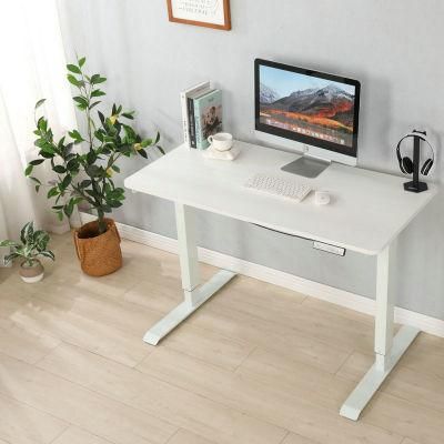 Elites Hot Sale Modern Electric Height Adjustable Desk for Office Home Use