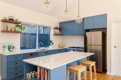 Light blue Shaker Wall Cupboard Suitable for Open Kitchen Fashionable Kitchen Cabinets