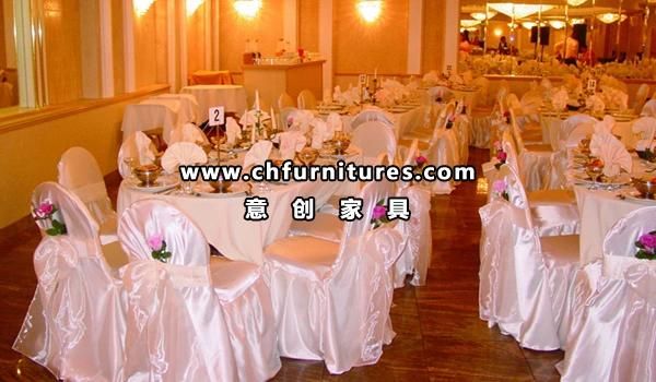 Chair with Special Metal Design Back (YC-B105)
