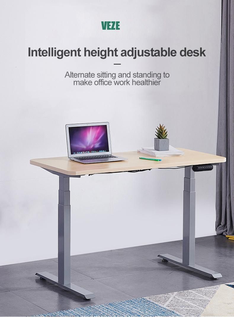 Dual Motor Electric Height Adjustable Standing Desk