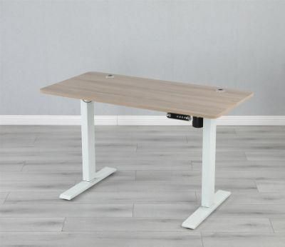 Modern Ergonomic Office Furniture Executive Tables Dual Motor Stand up Study Table Standing Desk Home Living Room Adjustable Desk Office Desk