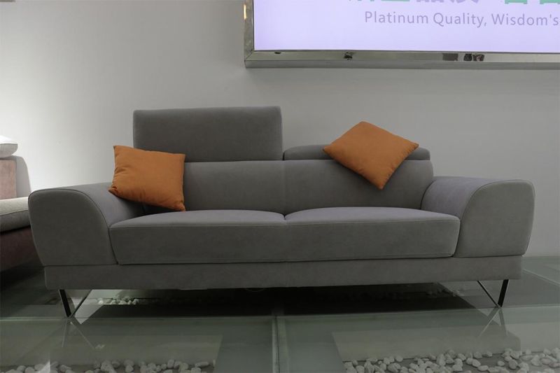 2 Seater Sofa Set Modern Latest Living Room Furniture Fabric Sofa (10010-3P)