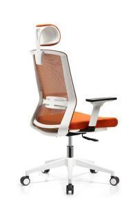 Best Selling New Design Comfortable Training Chair with Armrest