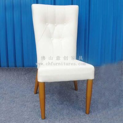 Beautiful Design Dining Seat Furniture (YC-F032-01)