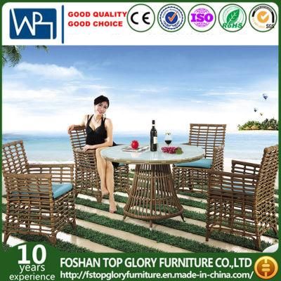 Modern Leisure Outdoor Rattan Garden Wicker Dining Table Chairs (TG-1303)