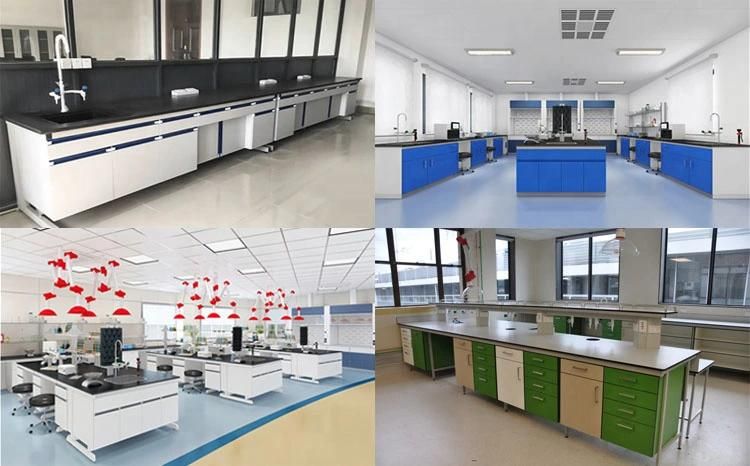 Cheap Factory Prices Bio Steel Lab Furniture with Absorbent Paper, Hot Selling Physical Steel Epoxy Resin Lab Bench
