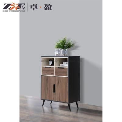 Home Furniture Manufacturer Mini Modern Living Room Display Cabinet