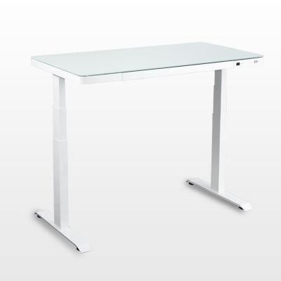 Factory Price Simple Durable Dual Motor Electric Height Adjustable Desk
