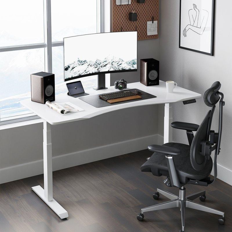 Modern Office Furniture Executive Desk Dual Motor Height Adjustable Electric Standing Desk