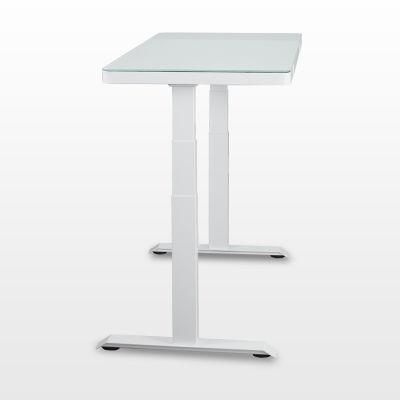 Customized Various Home Furniture Affordable Motorized Electric Stand Desk