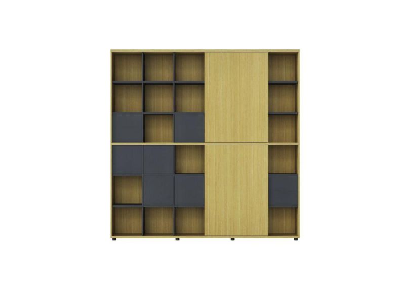 Modern Design Employee File Cabinet AG-Zhg-06
