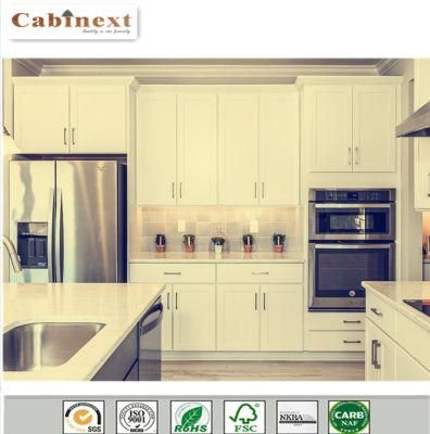 Elegant Modern Shaker Us Framed Kitchen Cabinets for Home Depot