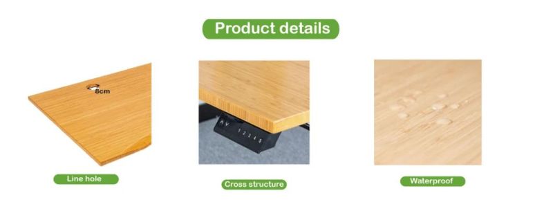 Sit Stand Bamboo Panel Desktop Modern Standing Table