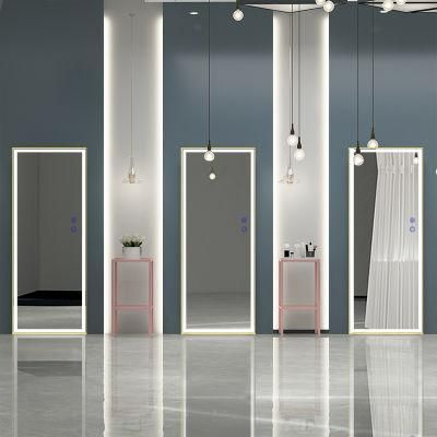 Best Choice Aluminum Long Dressing Mirror