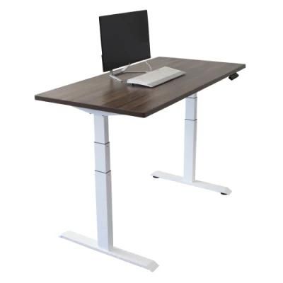 Single Motor Electric Sit Stand Desk, Sit-Stand Motorized Adjustable Height Table Legs Modern Office Furniture Office Table