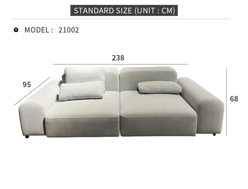 Nordic Modern Minimalist Living Room Double Fabric Sofa