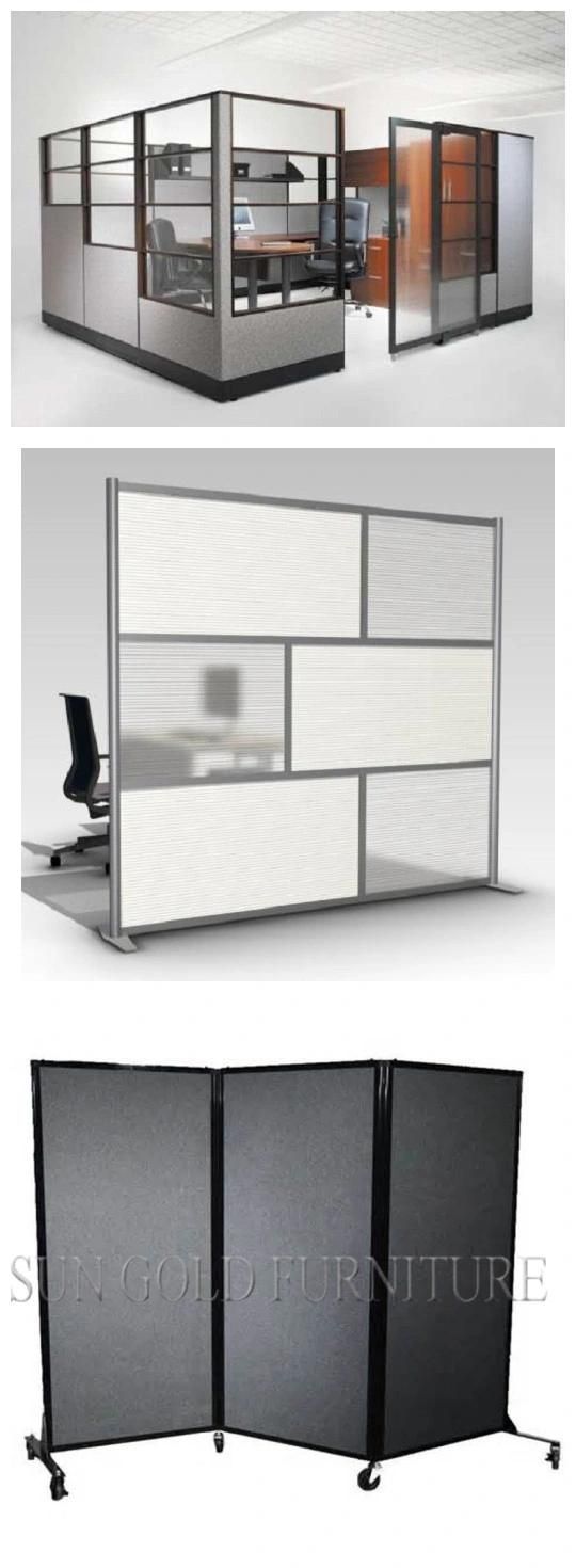 2016 New Modern Glass and Aluminumd Office Screen Partition (SZ-WS571)