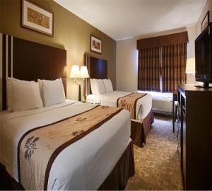 Hotel Apartment Hotel Guest Bedroom Furniture for Best Western