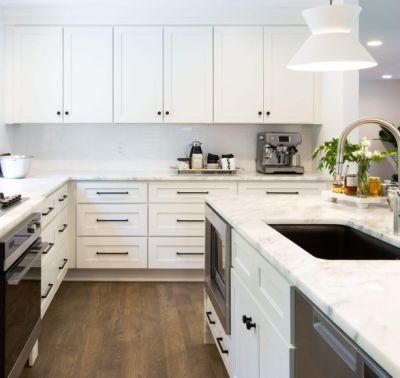 Modern Kitchen Cabinets in Shaker Style Grey White Painting