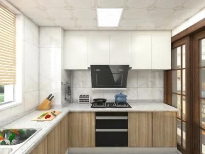Chinese Suppliers Custom PVC Membrane Shaker Door Kitchen Cabinet for Project