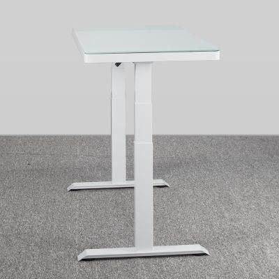 Clever Design Metal Modern Dual Motor Safety Standing up Desk