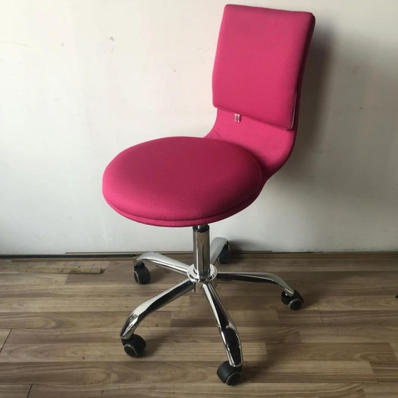 Leisure Elegant Swivel Adjustable Replaceable Office Chair