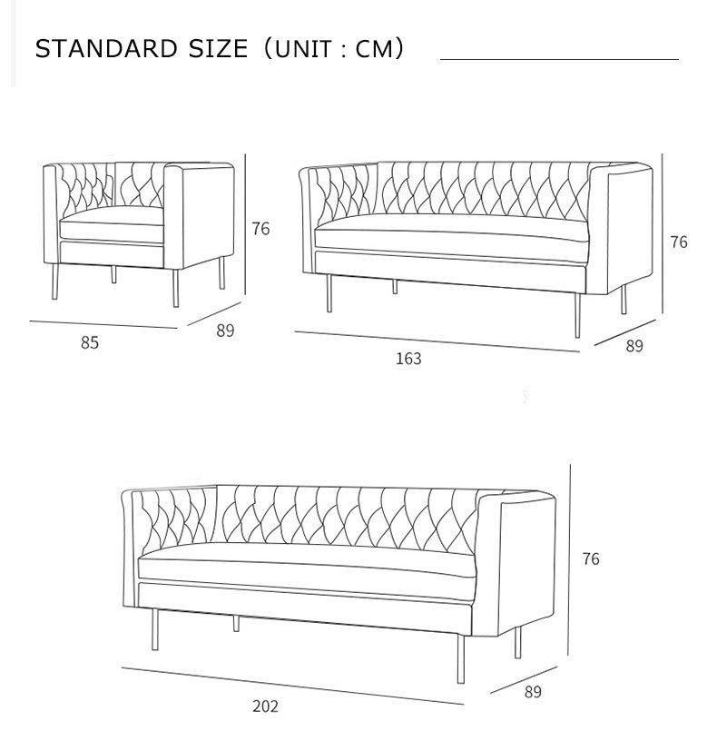 Modern Luxury Italian Sofa Leather Sofa for Livingroom Furniture