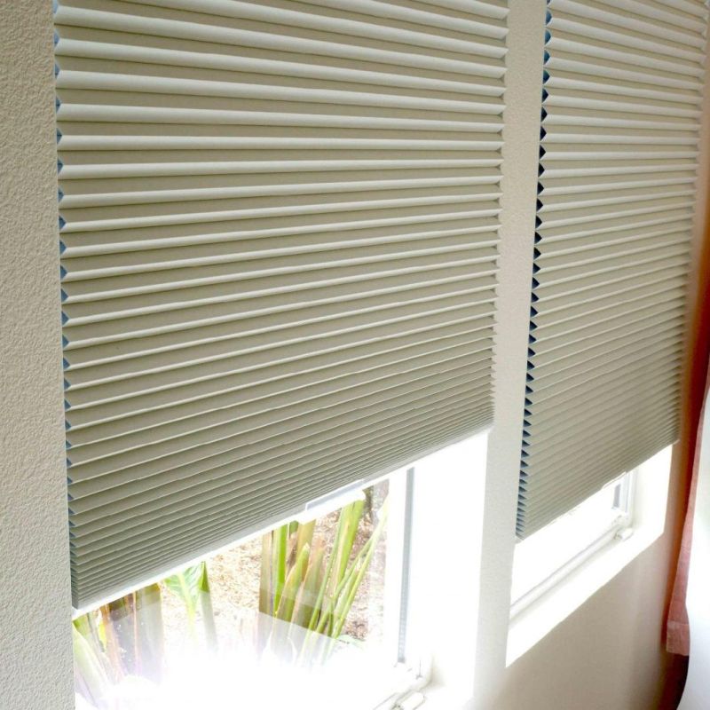 Cordless Cellular Shades Custom Cut to Size Free-Stop Light Filtering Window Blind Single Cell Honeycomb Blinds