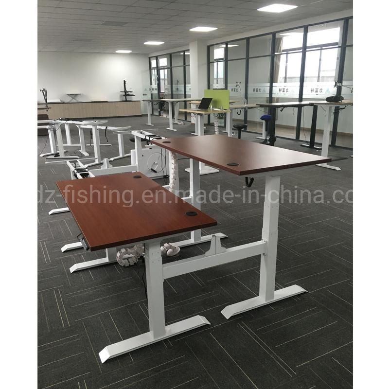 Executive Office Modern Desk Height Adjustable Computer Desk