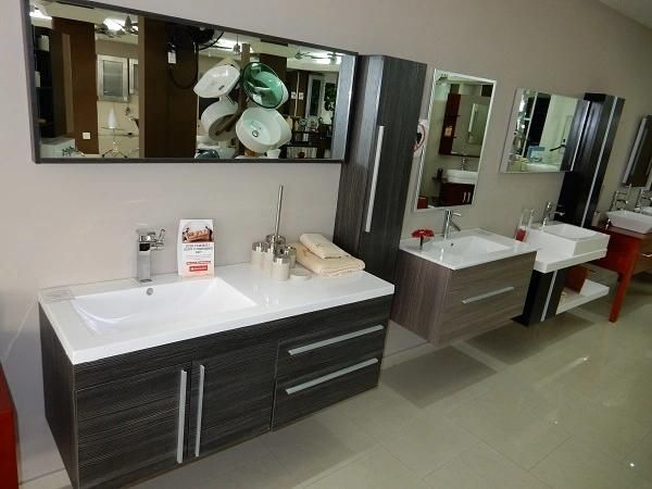 Bathroom Cabinetry/Bathroom Vanity Base Cabinet/Bathroom Furniture Modern Th20153e