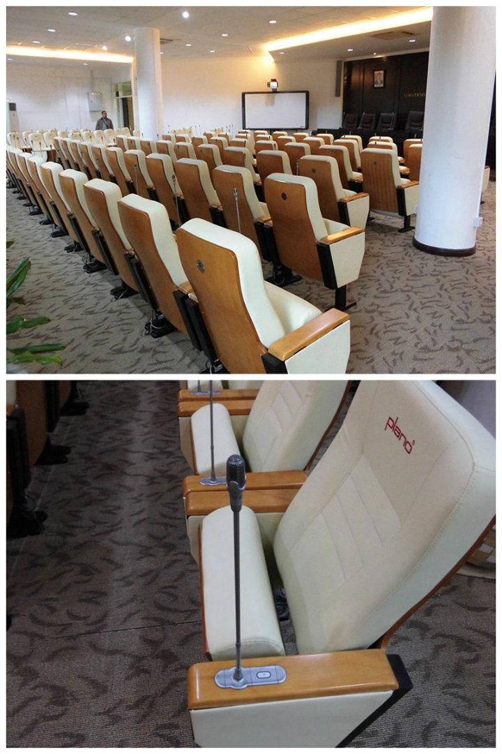 Cinema Theater Auditorium Hall Conference Lecture Classroom School Church Chair