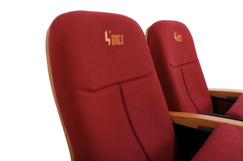 Classroom Lecture Hall Church Auditorium Cinema Seating