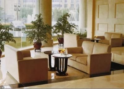 Restaurant Furniture/Hotel Furniture/Hospitality Sofa/Hotel Living Room Sofa/Modern Sofa for Hotel (GL-016)
