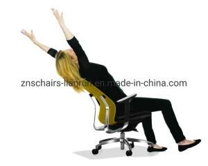Top Selling Adjustable and Economic Stable Brand Ergonomic Office Chair Made in China